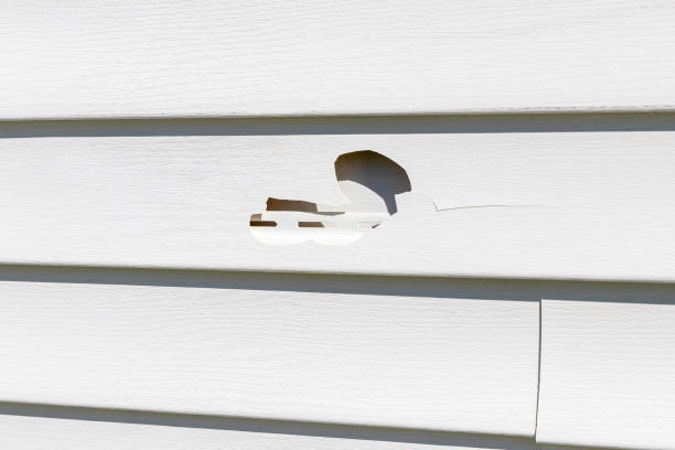 Trusted Ivins, UT Junk Removal Experts